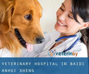 Veterinary Hospital in Baidi (Anhui Sheng)