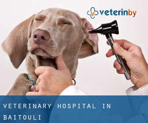 Veterinary Hospital in Baitouli