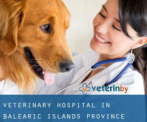 Veterinary Hospital in Balearic Islands (Province)