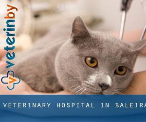 Veterinary Hospital in Baleira