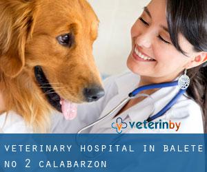 Veterinary Hospital in Balete No 2 (Calabarzon)