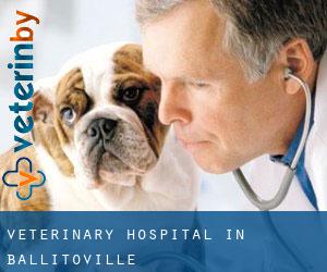 Veterinary Hospital in Ballitoville
