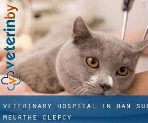 Veterinary Hospital in Ban-sur-Meurthe-Clefcy