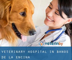 Veterinary Hospital in Baños de la Encina