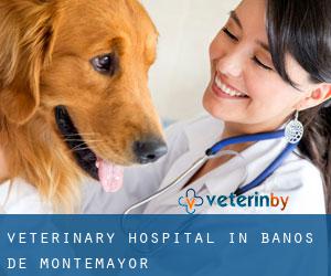Veterinary Hospital in Baños de Montemayor