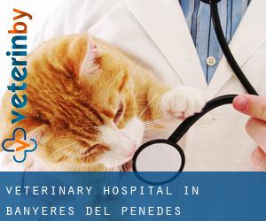 Veterinary Hospital in Banyeres del Penedès