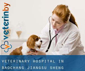 Veterinary Hospital in Baochang (Jiangsu Sheng)