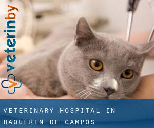 Veterinary Hospital in Baquerín de Campos