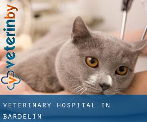 Veterinary Hospital in Bardelin