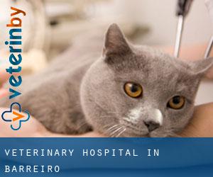 Veterinary Hospital in Barreiro