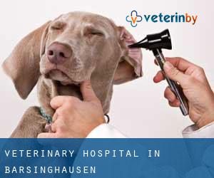 Veterinary Hospital in Barsinghausen