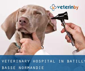 Veterinary Hospital in Batilly (Basse-Normandie)