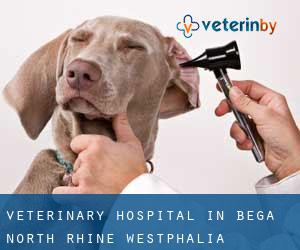 Veterinary Hospital in Bega (North Rhine-Westphalia)