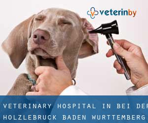 Veterinary Hospital in Bei der Hölzlebruck (Baden-Württemberg)