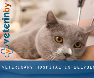 Veterinary Hospital in Belyuen