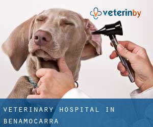 Veterinary Hospital in Benamocarra