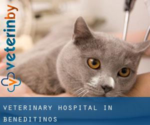 Veterinary Hospital in Beneditinos