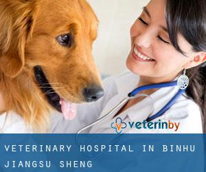 Veterinary Hospital in Binhu (Jiangsu Sheng)
