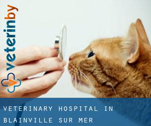 Veterinary Hospital in Blainville-sur-Mer