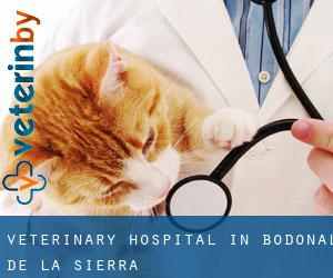 Veterinary Hospital in Bodonal de la Sierra