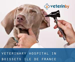 Veterinary Hospital in Boissets (Île-de-France)