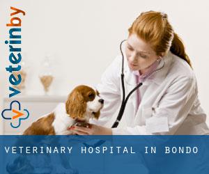 Veterinary Hospital in Bondo