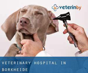 Veterinary Hospital in Borkheide