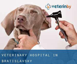 Veterinary Hospital in Bratislavský