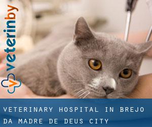 Veterinary Hospital in Brejo da Madre de Deus (City)