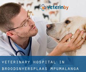 Veterinary Hospital in Broodsnyersplaas (Mpumalanga)
