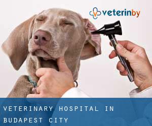 Veterinary Hospital in Budapest (City)