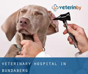 Veterinary Hospital in Bundaberg