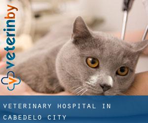 Veterinary Hospital in Cabedelo (City)