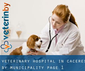 Veterinary Hospital in Caceres by municipality - page 1