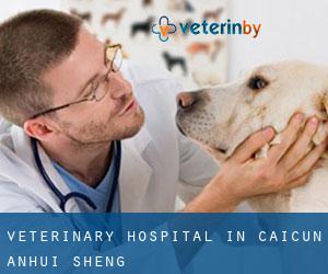 Veterinary Hospital in Caicun (Anhui Sheng)
