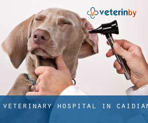 Veterinary Hospital in Caidian