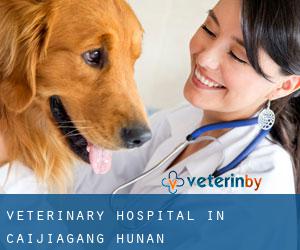 Veterinary Hospital in Caijiagang (Hunan)
