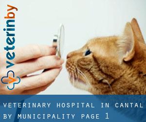 Veterinary Hospital in Cantal by municipality - page 1