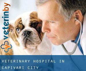 Veterinary Hospital in Capivari (City)