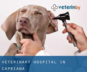 Veterinary Hospital in Capriana