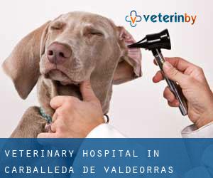 Veterinary Hospital in Carballeda de Valdeorras