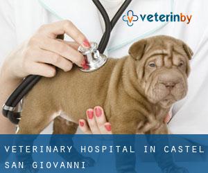 Veterinary Hospital in Castel San Giovanni