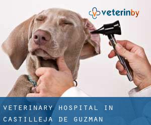 Veterinary Hospital in Castilleja de Guzmán