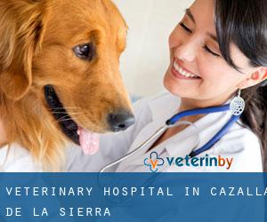 Veterinary Hospital in Cazalla de la Sierra