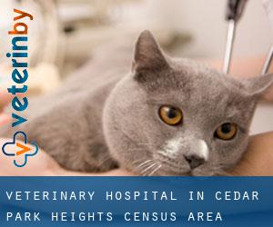 Veterinary Hospital in Cedar Park Heights (census area)