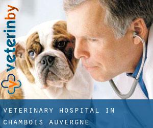 Veterinary Hospital in Chambois (Auvergne)