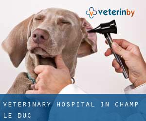Veterinary Hospital in Champ-le-Duc