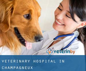 Veterinary Hospital in Champagneux