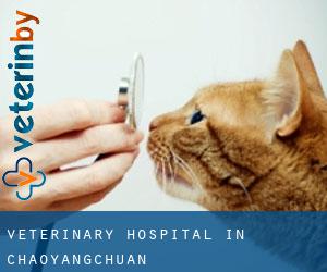 Veterinary Hospital in Chaoyangchuan