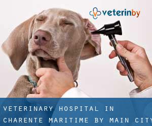 Veterinary Hospital in Charente-Maritime by main city - page 1
